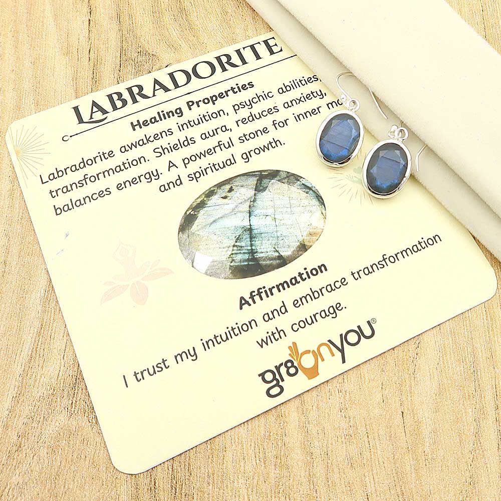 Free Elegant Packaging | High Quality Labradorite Real 925 Silver Trending Earrings